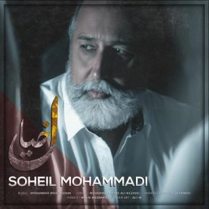 سهیل محمدی